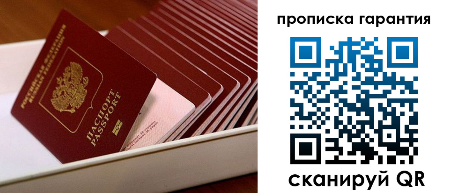 прописка поиск в Северодвинске